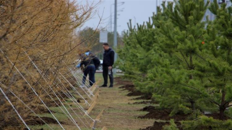 Kazakhstan to Plant Over 2 Billion Trees Within 5 Years